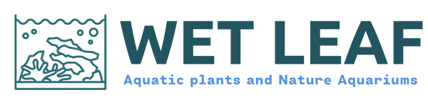 The Wet Leaf, ADA, Tropica